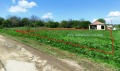 Продава КЪЩА, област Варна, с. Аврен • 21500 € • 51551065 — Holmes.bg