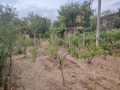 Продава ПАРЦЕЛ, град Варна, м-т Боровец - север • 74000 € • 33260635 — Holmes.bg