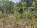 Продава ПАРЦЕЛ, град Варна, м-т Боровец - север • 74000 € • 33260635 — Holmes.bg