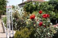 Продава  Парцел област Пловдив , с. Черноземен , 1100 кв.м | 95872345 - изображение [4]