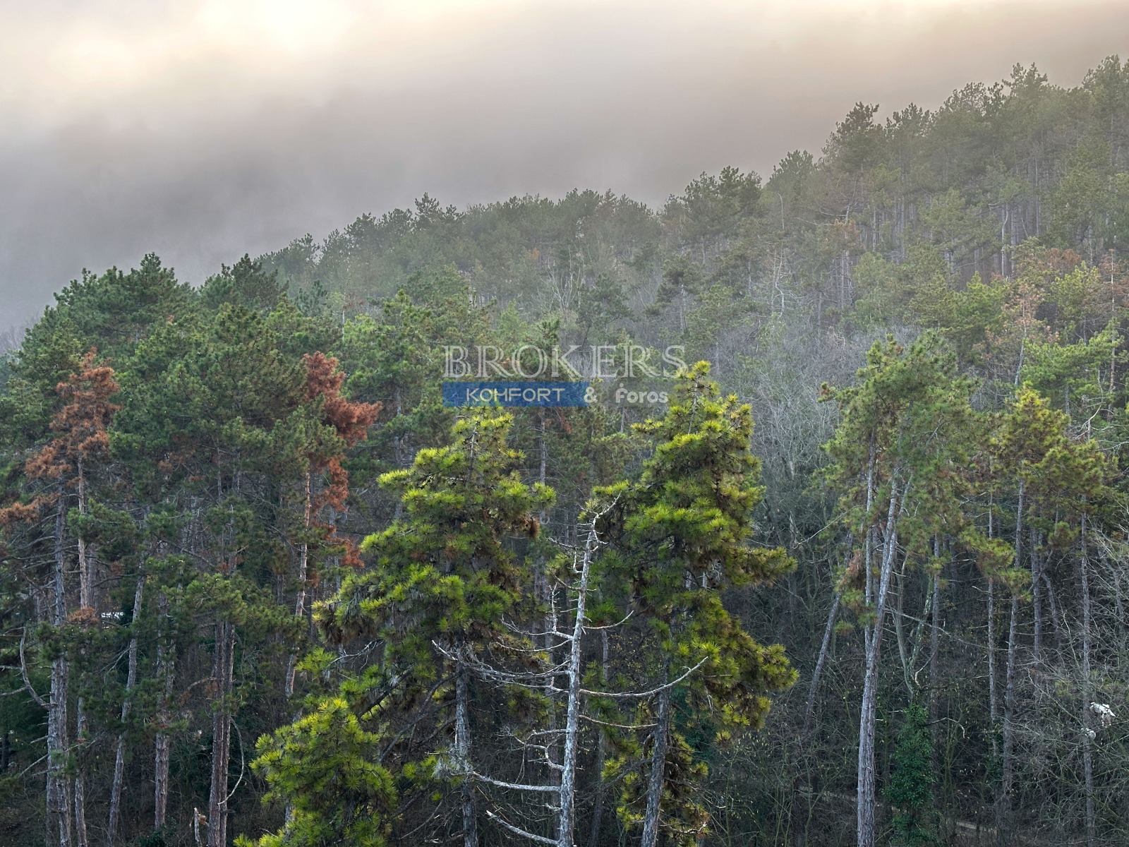 ������� 3-����� | Imot.bg � ����������� 9