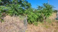 Продава ПАРЦЕЛ, с. Брестник, област Пловдив, снимка 7