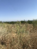 Продава ПАРЦЕЛ, с. Брестник, област Пловдив, снимка 2