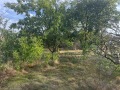 Продава  Парцел област Добрич , с. Соколово , 812 кв.м | 61403569