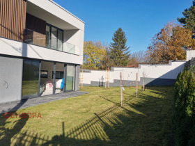 ����� ������� ����,���� �����, �����