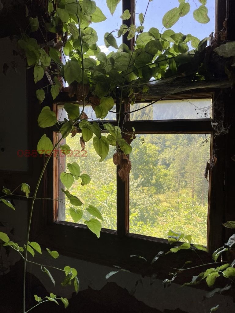 Продава КЪЩА, с. Левочево, област Смолян, снимка 6 - Къщи - 52908560