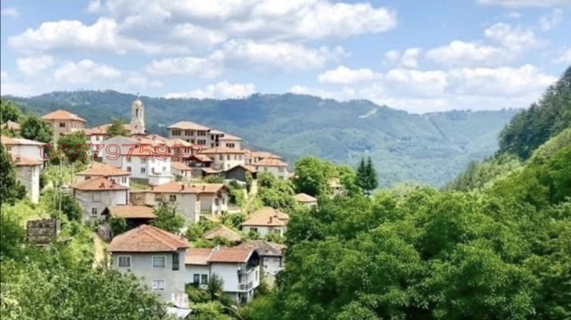 Продава КЪЩА, с. Левочево, област Смолян, снимка 10 - Къщи - 52908560