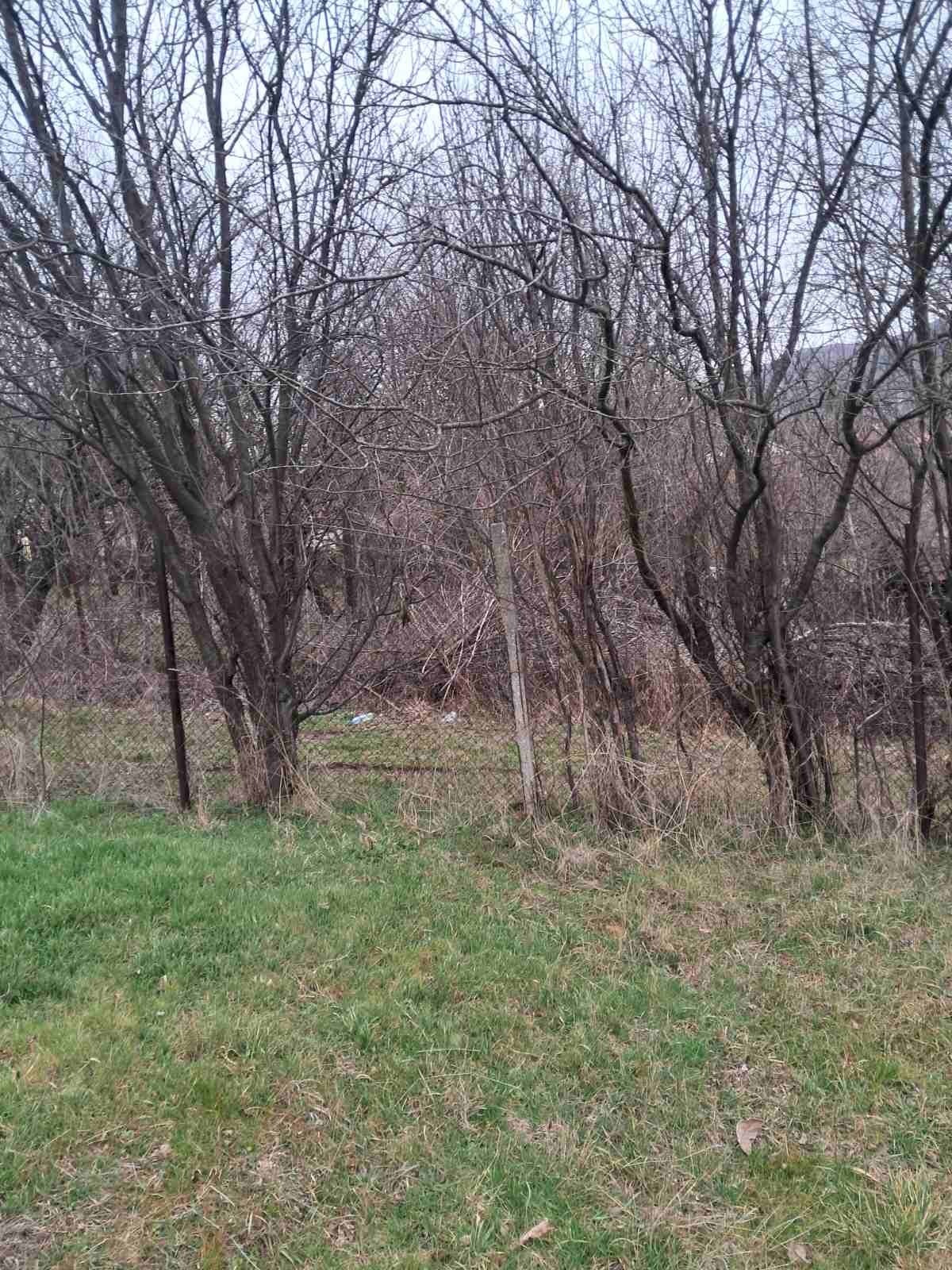 Продава ПАРЦЕЛ, с. Дивотино, област Перник, снимка 5 - Парцели - 53606395