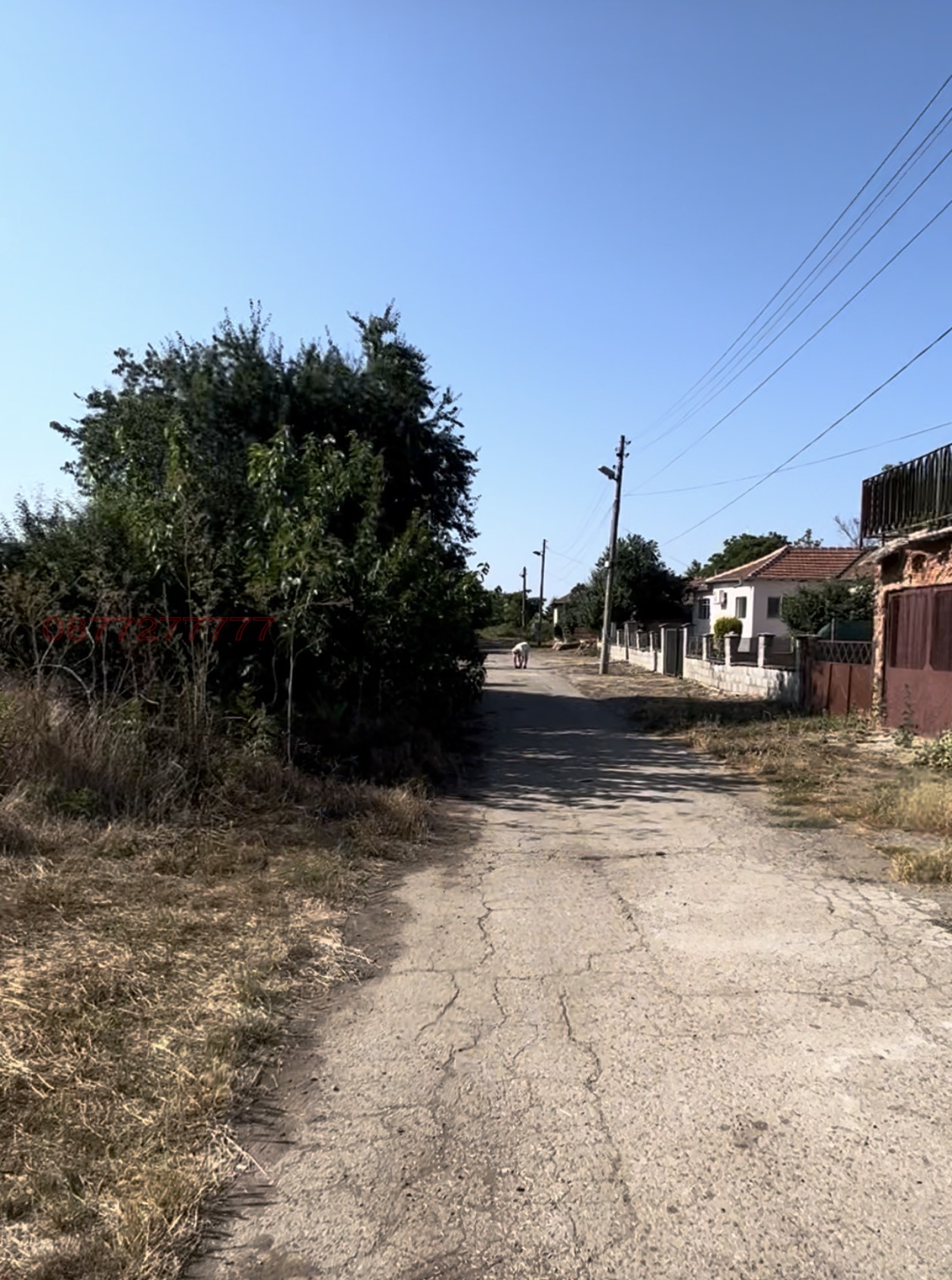 Продава ПАРЦЕЛ, с. Свети Никола, област Добрич