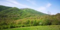 Продава ПАРЦЕЛ, гр. Елена, област Велико Търново, снимка 1