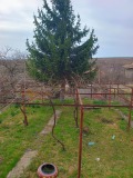 Продава КЪЩА, област Шумен, с. Беджене • 65000 лв. • 45513408 — Holmes.bg