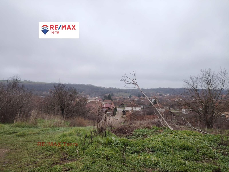 Продава КЪЩА, гр. Мизия, област Враца, снимка 9 - Къщи - 52912946