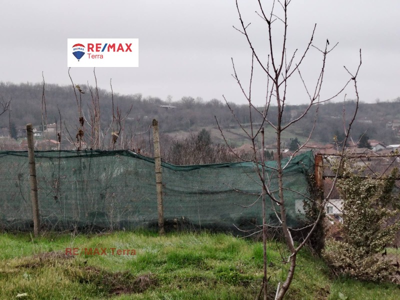 Продава КЪЩА, гр. Мизия, област Враца, снимка 12 - Къщи - 52912946