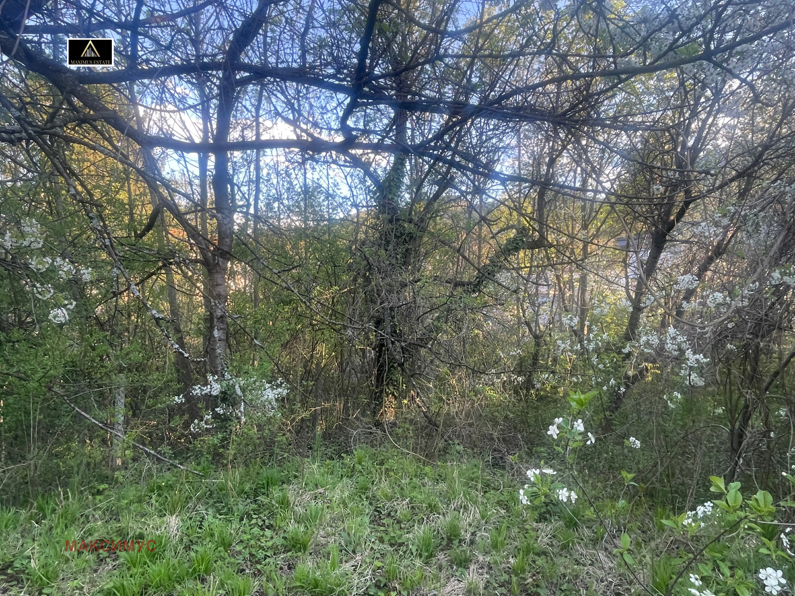 Продава ПАРЦЕЛ, гр. София, Драгалевци, снимка 8 - Парцели - 54403628