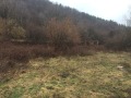 Продава  Парцел област Видин , с. Чупрене , 3791 кв.м | 32439194 - изображение [5]