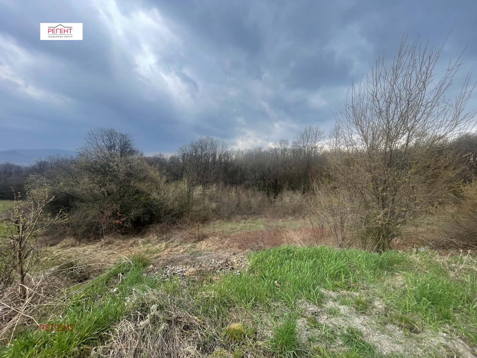 ������� ������ | Imot.bg � ����������� 3