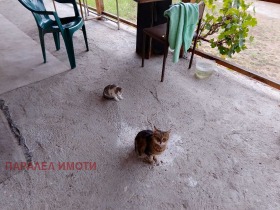 σπίτι Πεσνοποι, περιοχή Plovdiv 11