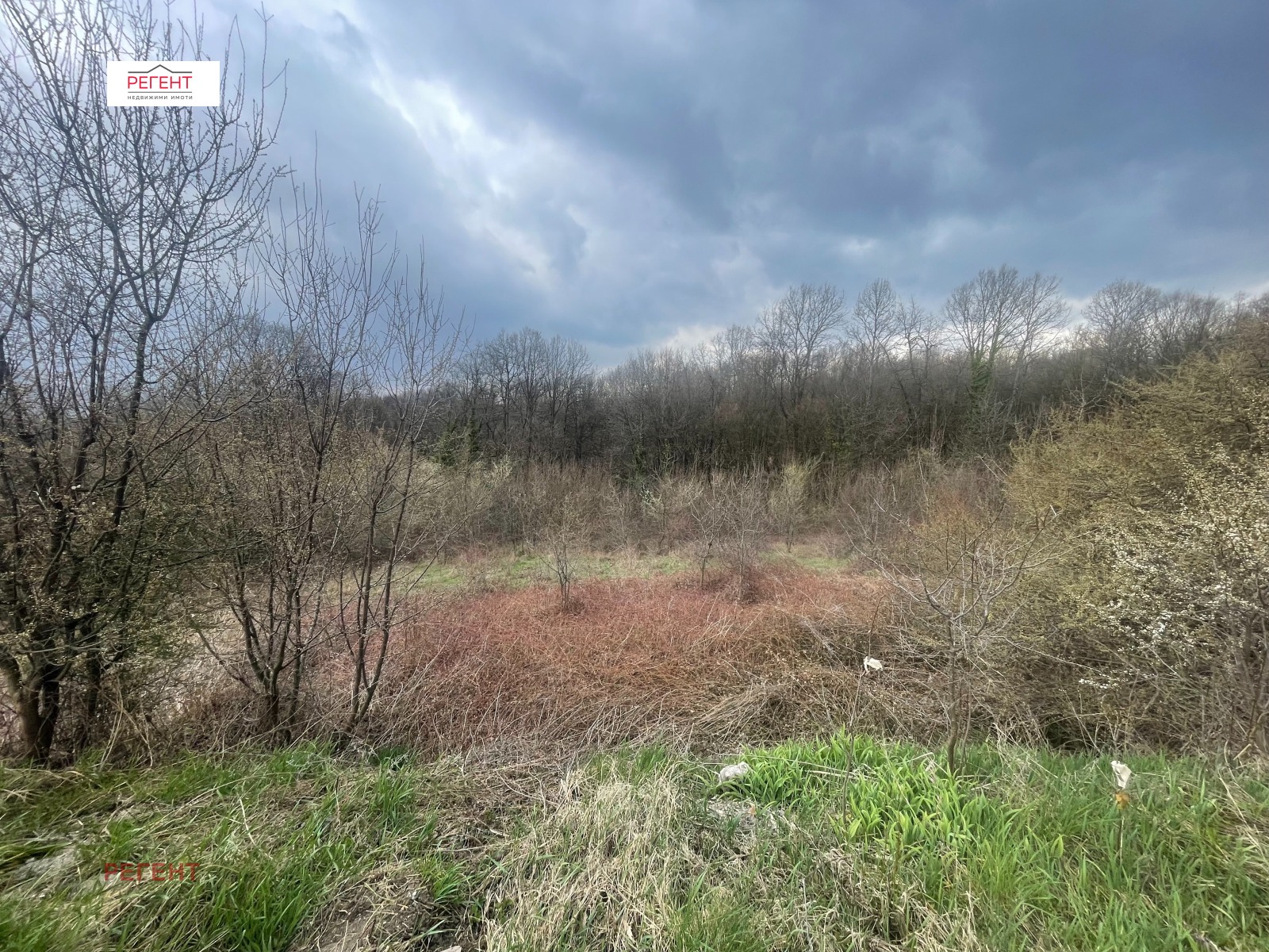 Продава ПАРЦЕЛ, с. Донино, област Габрово, снимка 2 - Парцели - 48142843