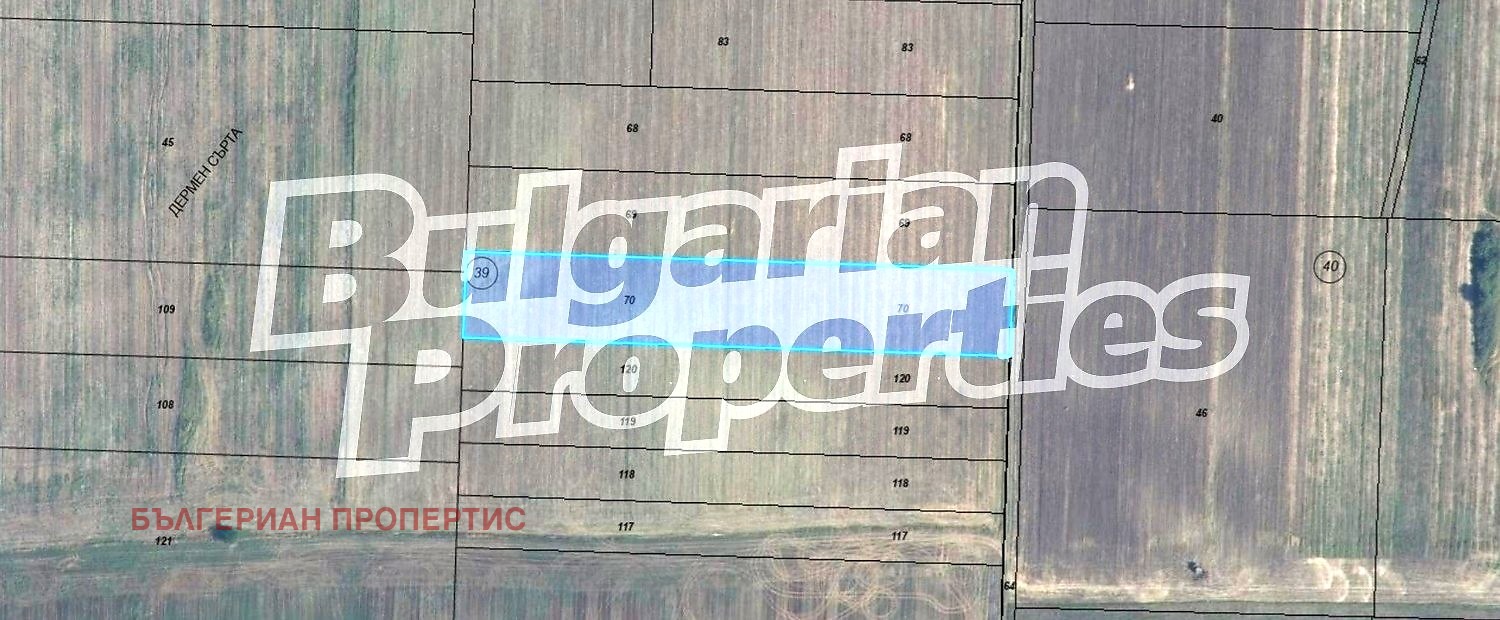 Продава ЗЕМЕДЕЛСКА ЗЕМЯ, с. Кривня, област Варна, снимка 2 - Земеделска земя - 56224466