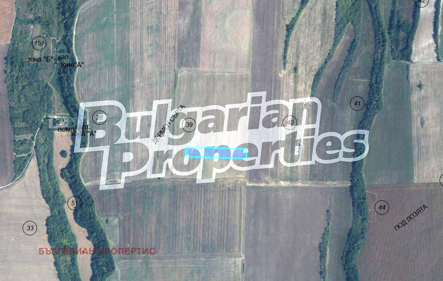 Продава ЗЕМЕДЕЛСКА ЗЕМЯ, с. Кривня, област Варна, снимка 4 - Земеделска земя - 56224466