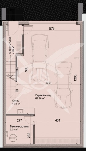 ����� ������� ����,���� �����, ����������