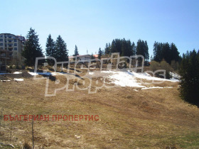 Plott k.k. Pamporovo, region Smolyan 1