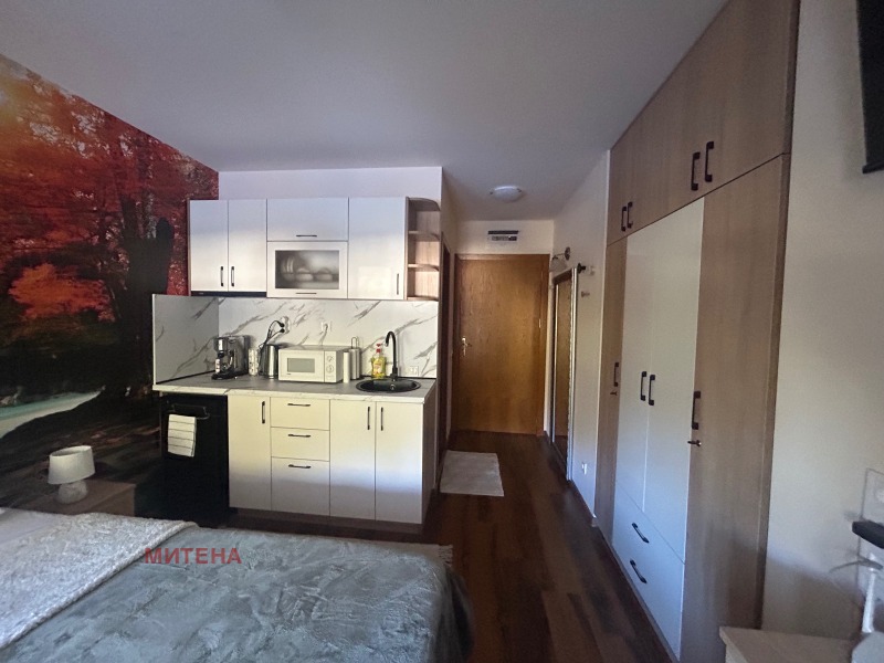 Продава 1-СТАЕН, к.к. Пампорово, област Смолян, снимка 4 - Апартаменти - 53086621