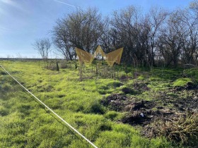 ����� ������� ������,�. �������, ������ �����