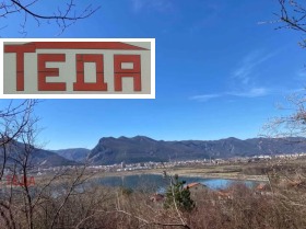 ����� ������� ������,���� �����, ���������� ����