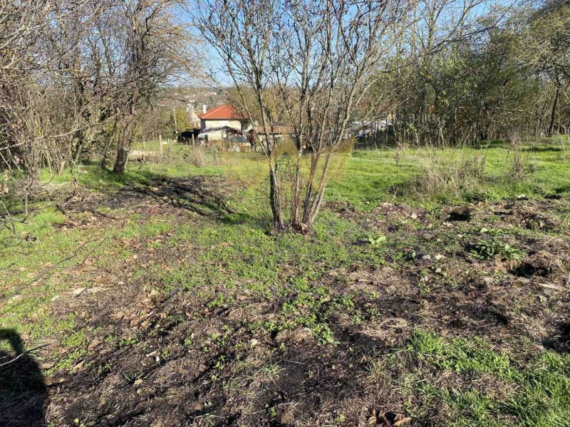 Продава ПАРЦЕЛ, с. Крумово, област Варна, снимка 2 - Парцели - 53505689
