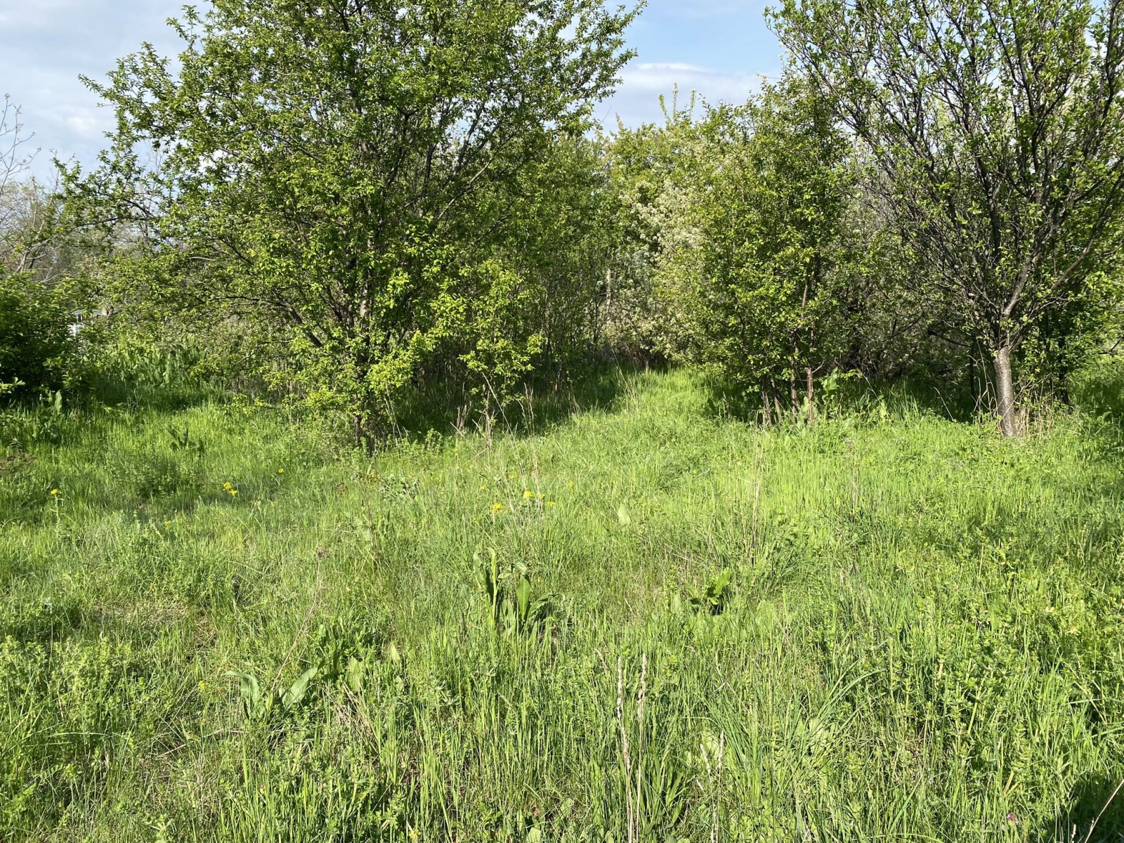 Продава ПАРЦЕЛ, гр. Сопот, област Пловдив, снимка 2 - Парцели - 40585109