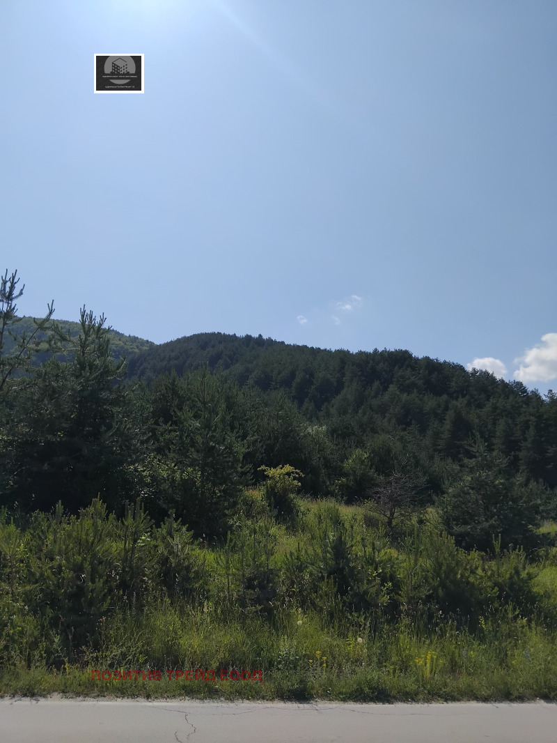 Til salgs  Plott region Kyustendil , Sapareva banja , 850 kvm | 76918229 - bilde [4]