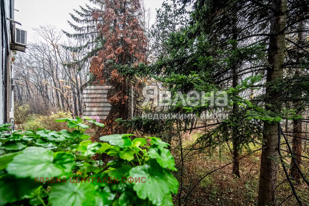 Продава 3-СТАЕН, гр. София, Лозенец, снимка 8 - Апартаменти - 53869195