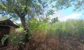 Продава КЪЩА, област Търговище, гр. Попово • 21950 € • 54500158 — Holmes.bg
