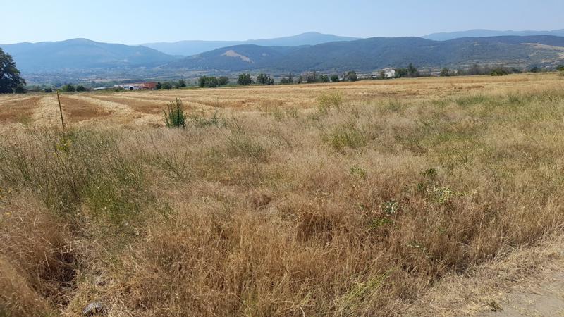 ������� ������ | Imot.bg � ����������� 2