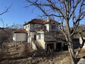 Casa Cocaliane, Sofia 4