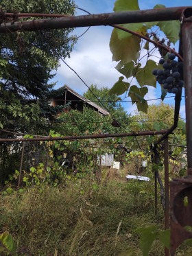 ������� ���� | Imot.bg � ����� ������ 9