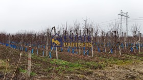 ������� ������ | Imot.bg � ����� ������ 5