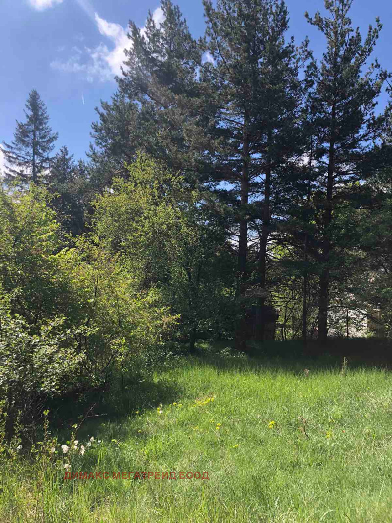 Te koop  Verhaallijn regio Sofia , v.z.Jarema , 900 m² | 27826050 - afbeelding [4]