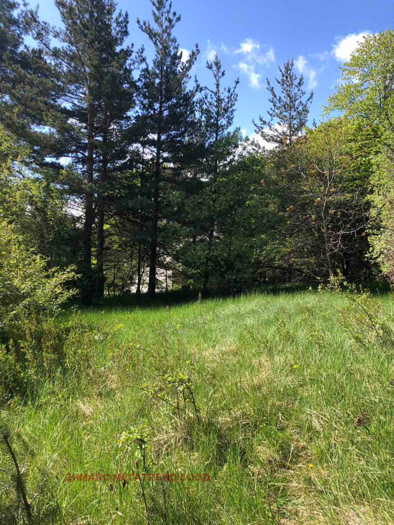 Te koop  Verhaallijn regio Sofia , v.z.Jarema , 900 m² | 27826050 - afbeelding [5]