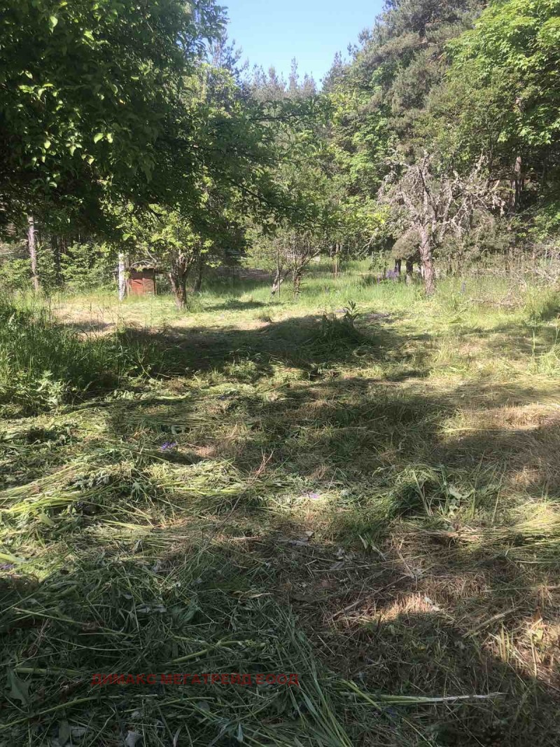 Na prodej  Spiknutí oblast Sofia , v.z.Jarema , 900 m2 | 38547846 - obraz [7]