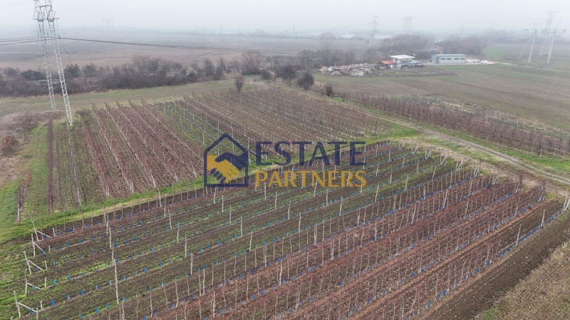 Продава ПАРЦЕЛ, с. Брестник, област Пловдив, снимка 4 - Парцели - 53129719