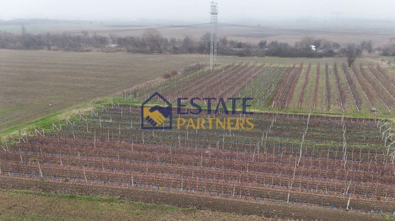 Продава ПАРЦЕЛ, с. Брестник, област Пловдив