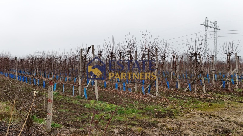 Продава ПАРЦЕЛ, с. Брестник, област Пловдив, снимка 5 - Парцели - 53129719