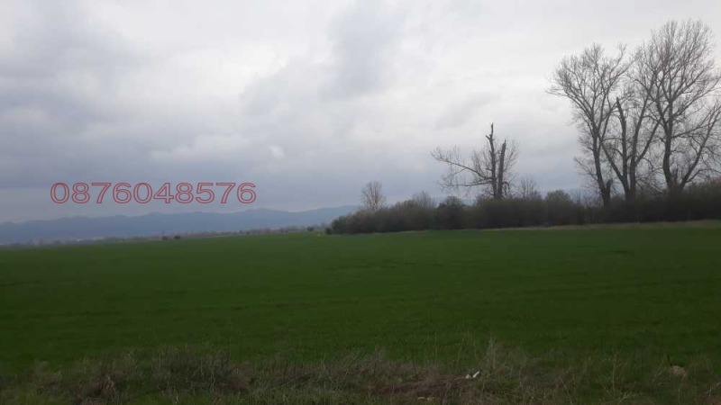 Продава ЗЕМЕДЕЛСКА ЗЕМЯ, с. Церово, област Пазарджик, снимка 2 - Земеделска земя - 53213236