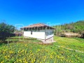 Продава КЪЩА, област Велико Търново, с. Палици • 98000 € • 69935199 — Holmes.bg