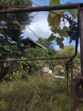 Продава  Вила град Враца , Студентски град , 40 кв.м | 24432107 - изображение [9]