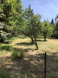 Продава ПАРЦЕЛ, област София, в.з.Ярема • 144000 € • 70970122 — Holmes.bg