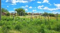 Продава ПАРЦЕЛ, област Добрич, с. Соколово • 17500 € / 34227.03 лв. • 44638042 6