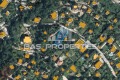 Продава  Парцел град София , в.з.Симеоново - Драгалевци , 808 кв.м | 37326257 - изображение [4]